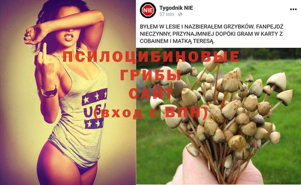 эйфоретик Балабаново