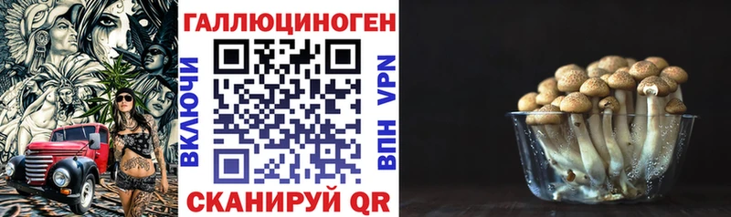 omg зеркало  Староминская  Галлюциногенные грибы Magic Shrooms 